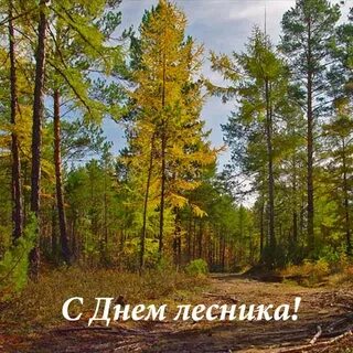 День лесника усть илимск