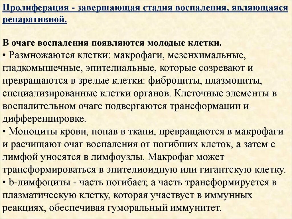 Пролиферация это простыми словами. Этапы пролиферативной стадии воспалении. Пролиферация механизм развития. Стадия пролиферации воспаления. Фаза воспалительной пролиферации.