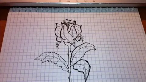 Нарисовать на листе а 4