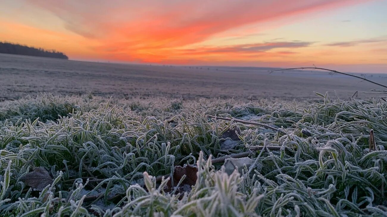 Заморозки в области. Заморозки. Заморозки на почве. Заморозки фото. Заморозки в сентябре.