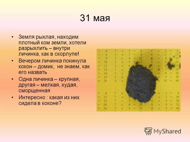 Лаколизованнач форма дефтерии -нозафаренгит. Рентгенологические синдромы легочной патологии. Туберкулема рентген описание. Плотный обнаружить. Синдром диссеминированного поражения легких.