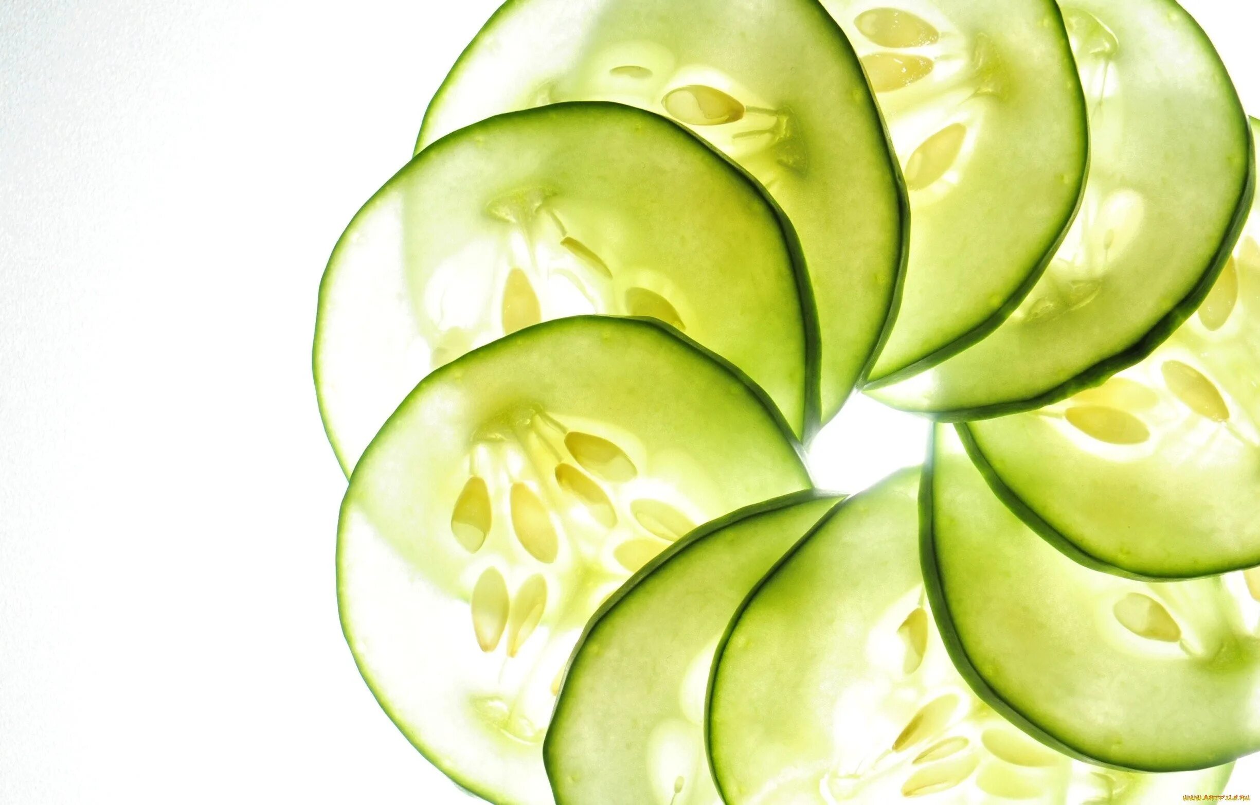 огурец нарезанный. огурец. огурцы нарезанные кружочками. огурец резаный. текстура дольки огурца.