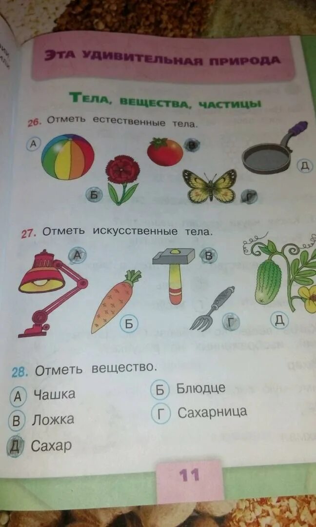 Окружающий мир 3 тест фгос. По окружающему миру 3 класс плешаков гара назарова. естественные тела окружающий мир 3 класс плешаков. окружающий мир 3 класс рабочая тетрадь 1 часть стр 5. плешаков назарова гара 2 класс.