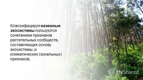 Какие признаки лежат в основе экосистем