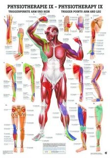 Trigger body