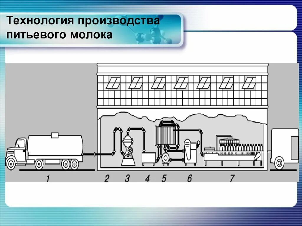Технология получения молока