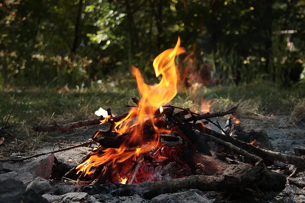 Лес углем. Современная кузница. Горн в лесу. Походная кузница 1812. Горн кузнечный угольный.
