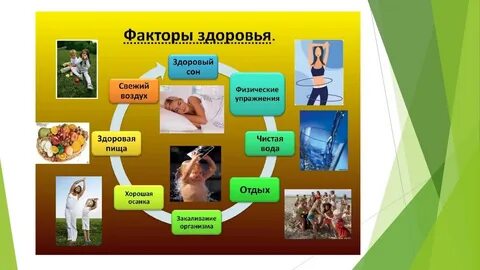 Системах поддержания здоровья