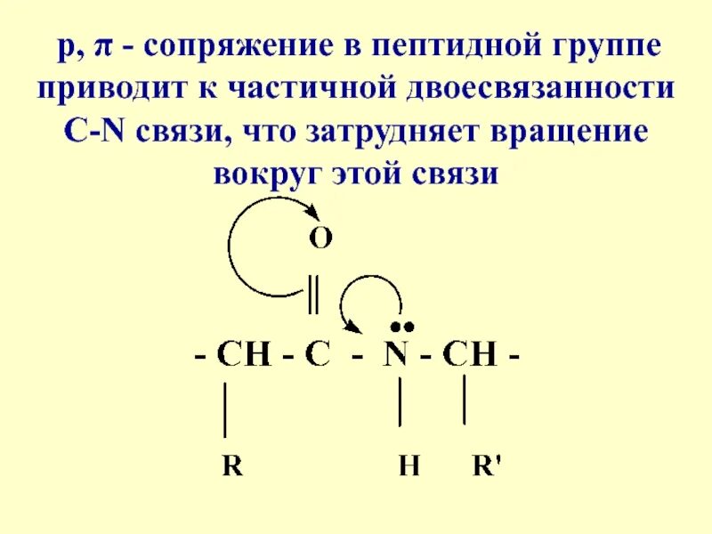 Строение пептидной группы. Сопряжение в пептидной связи. Электронное строение пептидной связи. Электронное строение пептидной группы.