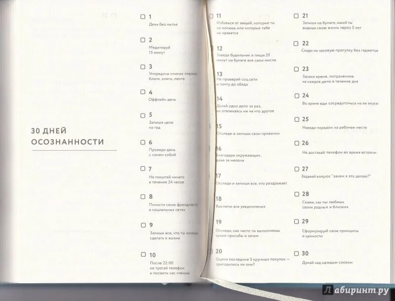 100 дней на одном чанке. Ежедневник веденеевой 75 questions. ежедневник 100 дней. работа над собой ежедневник. ежедневник осознанности.
