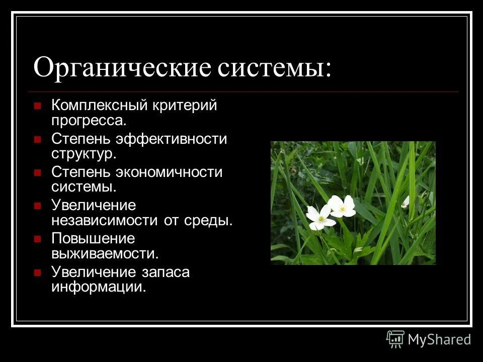 Органические вещества это в биологии. Органическая система в психологии. Классификация органических и неорганических оснований. Передача токсичных веществ по пищевой цепи. Органические системы примеры.