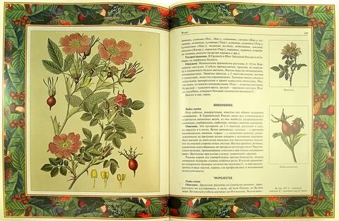 Книга ягоды