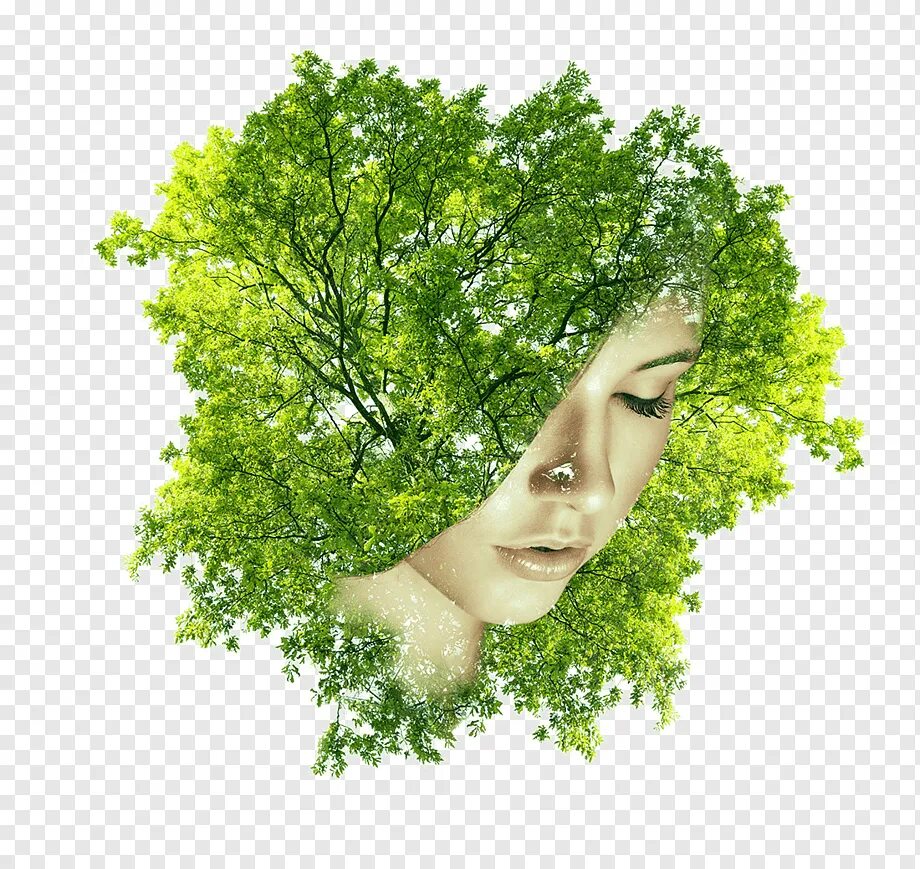 Лицо в зелени. Лицо в листве дерева. Дерево с лицом женщины. Голова с зеленью.