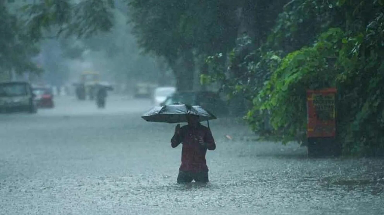 Англичане в дождь. Heavy shower. Monsoon weather. Студия с дождем москва. Heavy shower.