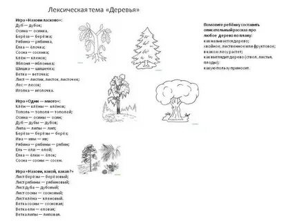 Развитие речи деревья и кустарники