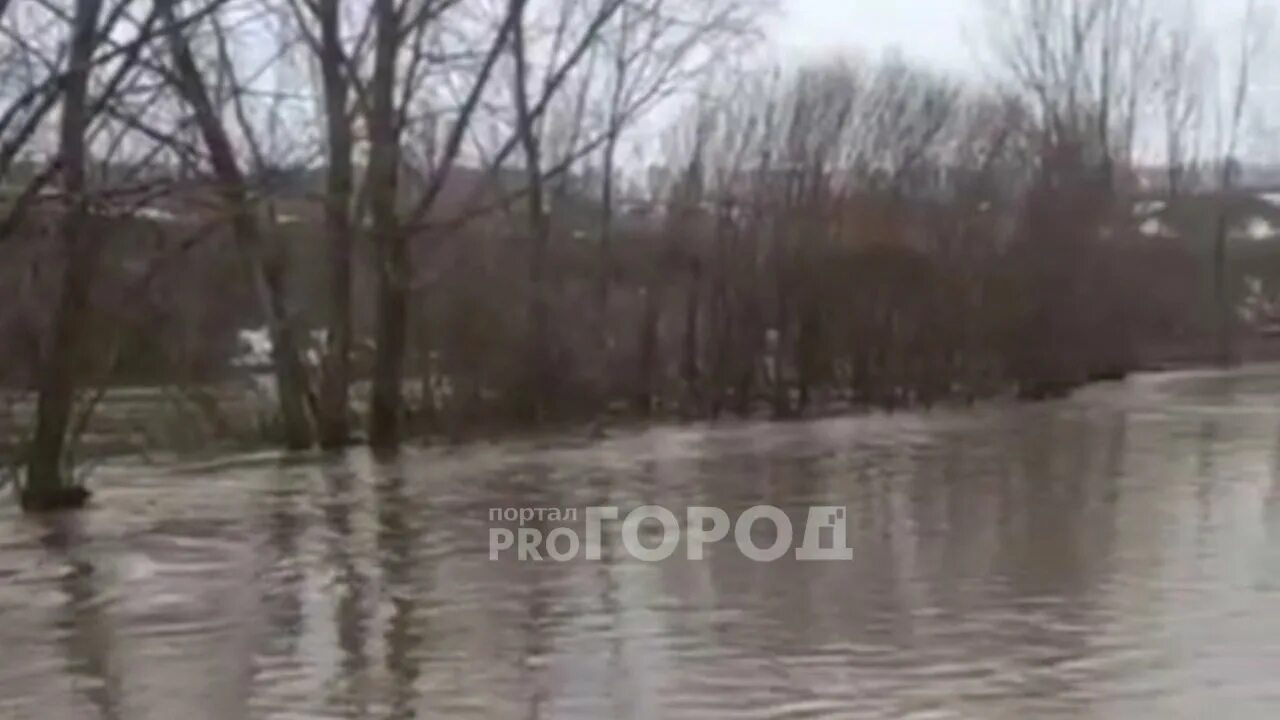 Ока вышла из берегов 2025. Река вышла из берегов. реки чувашии. вода река. на речке.