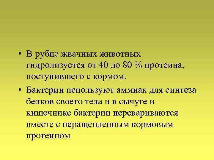 Рубцовые бактерии. Рлль микроорганизмов врубце жвачных. Микрофлора преджелудков жвачных. Функции бактерий в рубце жвачных. Микрофлора рубца жвачных.