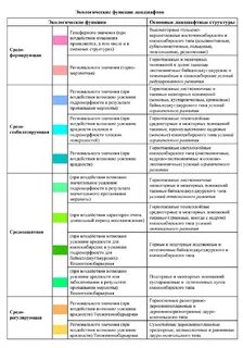 Функционирование ландшафтов
