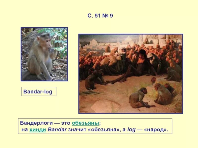Бандерлоги обезьяны. Бандерлоги кто это. Кто такие Бандар-логи. Бандар лог