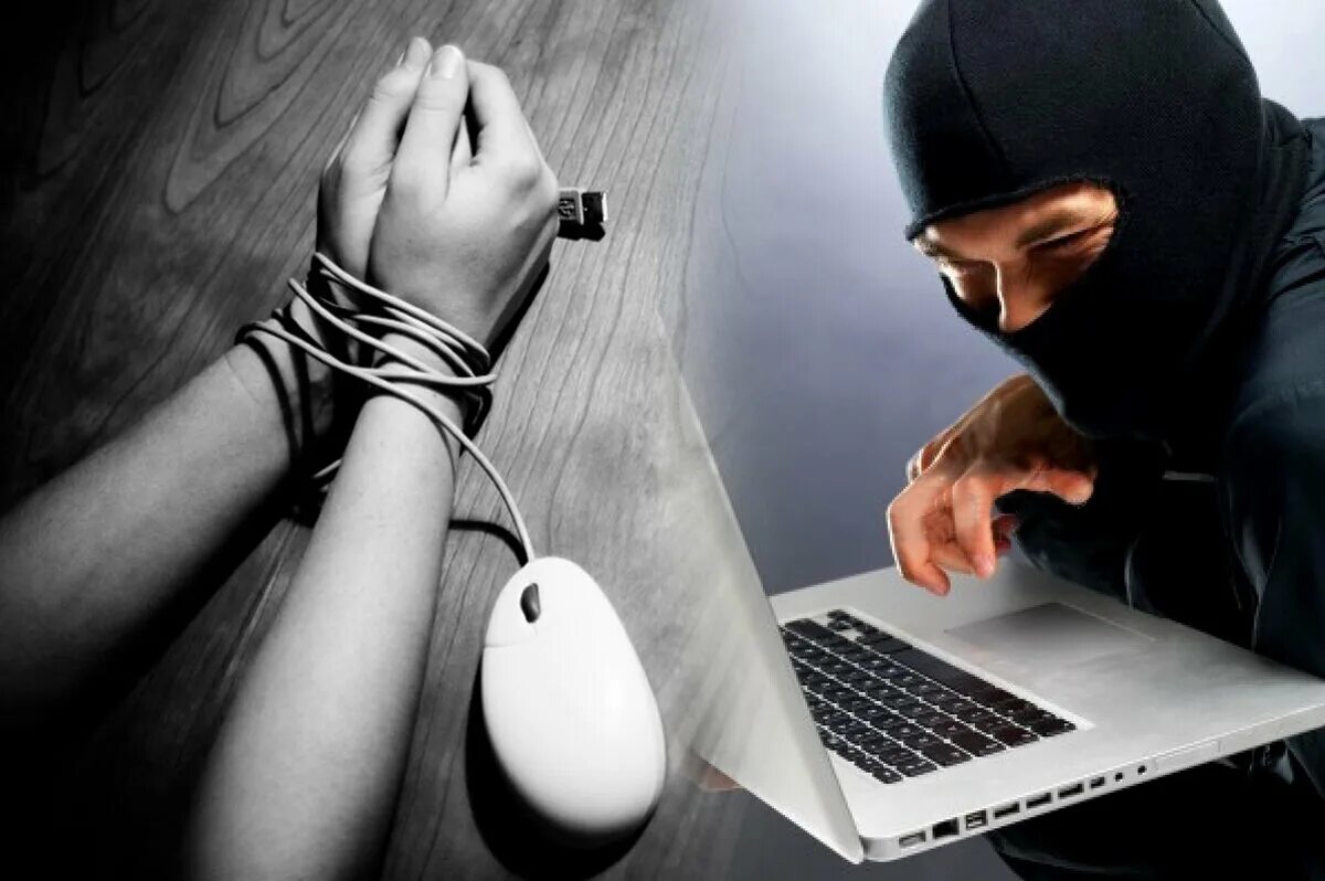 Мошенничество компьютерной информации. Компьютерные преступления. Компьютерная преступность. Интернет преступность. Преступления в киберпространстве.