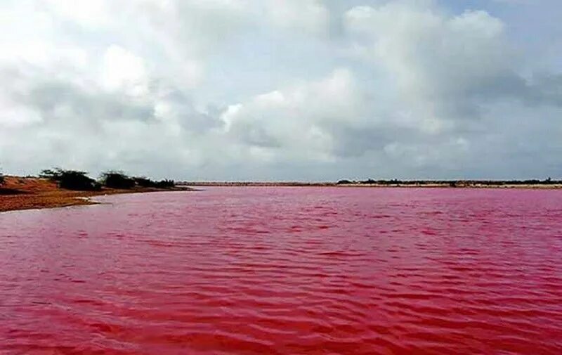 В озеро имеющее среднюю. Розовое озеро Махарлу Иран. Махарлу озеро Иран. Розовое озеро в Иране Шираз. Озеро Липар, Чабахар, Иран.