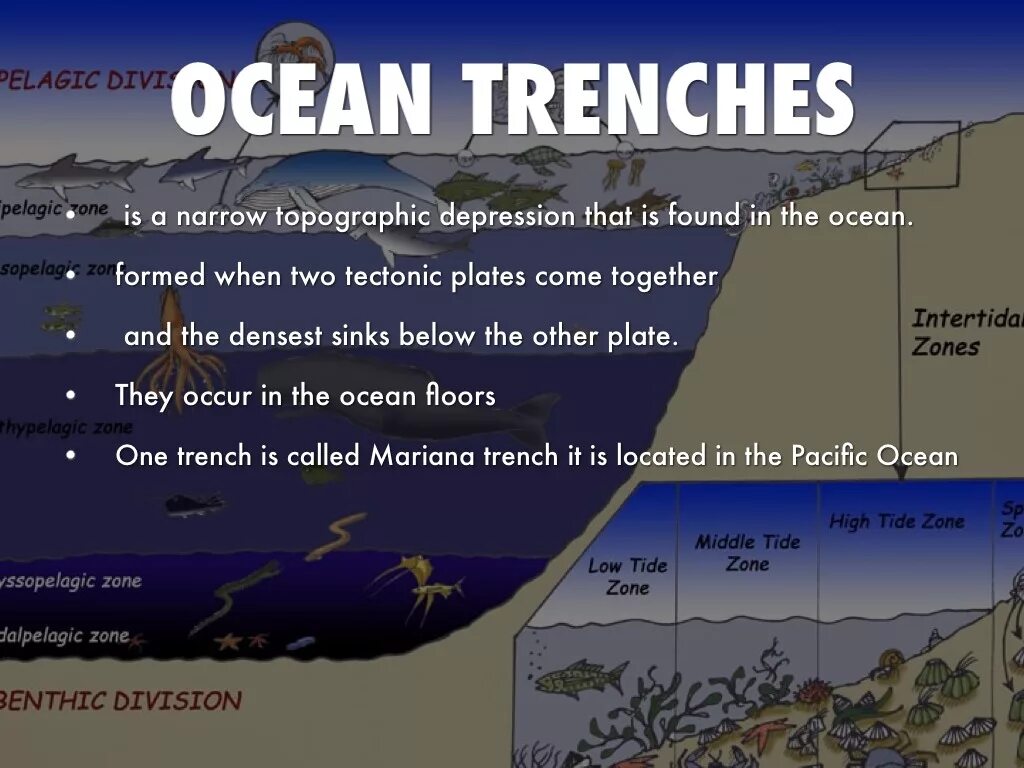 Ocean артикль. Ocean Trench. Марианская впадина землетрясение. Mariana Trench depth. Марианская впадина глубина.