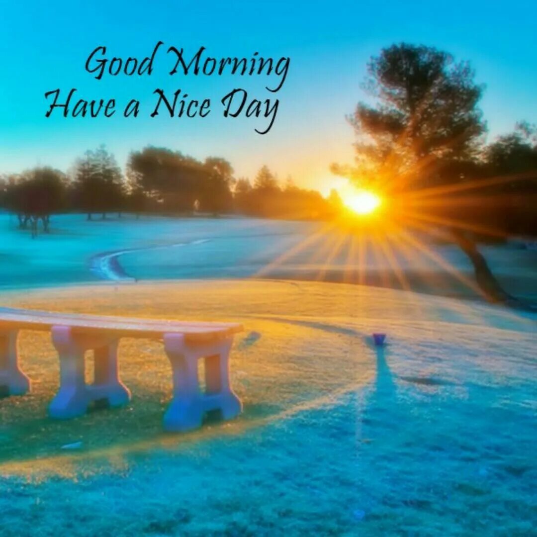 Nice more nice most nice. Открытки good day. good morning my friend have a nice day. good morning have a nice day. гуд морнинг природа.