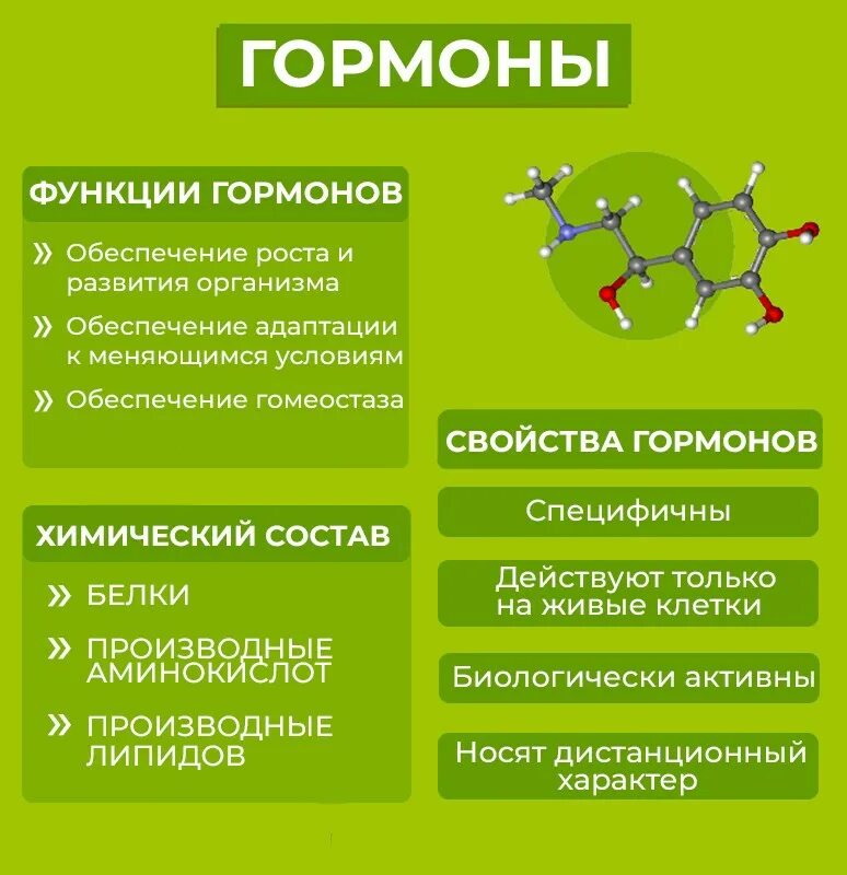 Группа биологически активных соединений