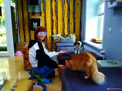 Котокафе новосибирск