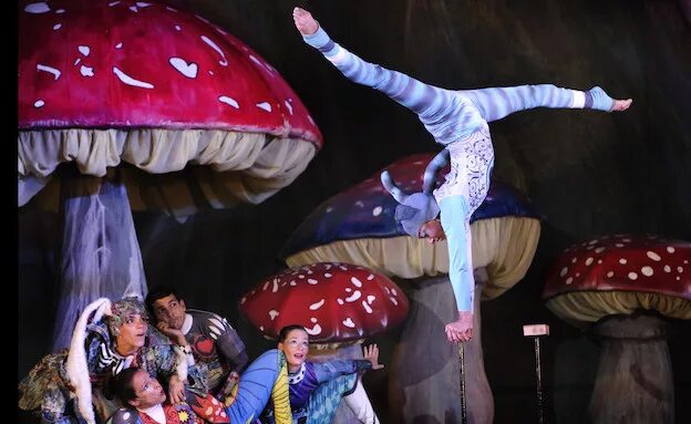 Алиса в стране чудес театральная постановка. Декорации к спектаклю алиса в стране чудес. Алиса в стране чудес спектакль. Алиса в стране чудес фотосет. Спектакль алиса в тране чудес.