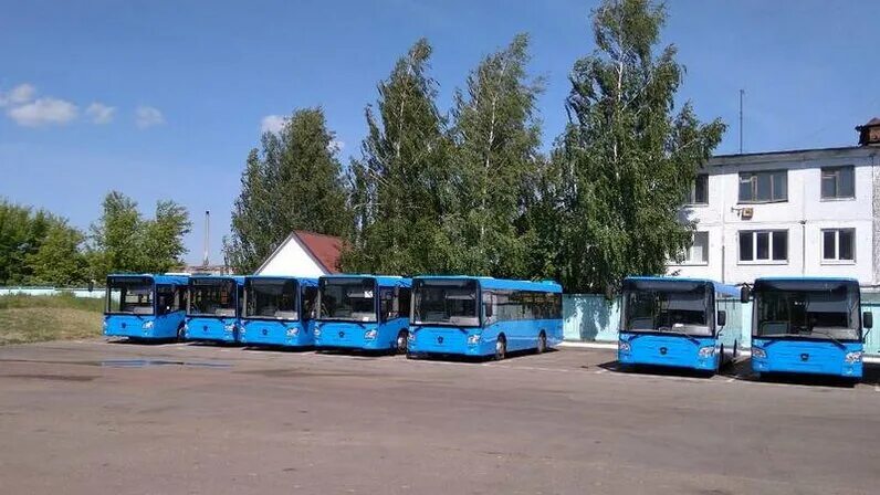 брянский автовокзал в60е. расписание автобусов красная гора брянск. девушка водитель автобуса. красная гора брянск автовокзал. лаз-697р турист.