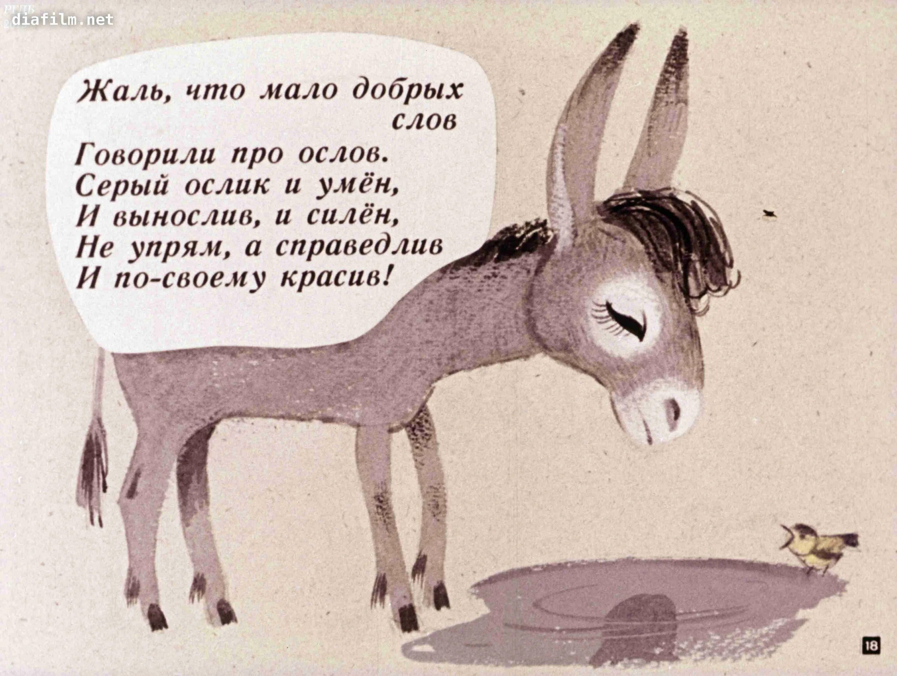 Про ослика который. Ослик. стих про ослика. стишок про ослика смешной. стих про ишака.