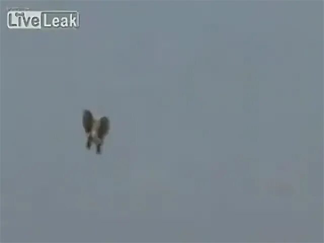 Москва тыр пыр восемь дыр