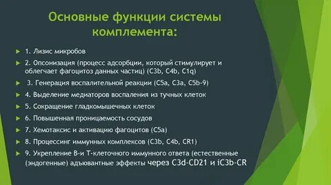 Роль комплимента