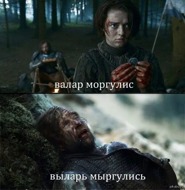 Что значит валар моргулис и валар дохаэрис. Маргулис дохаэрис.