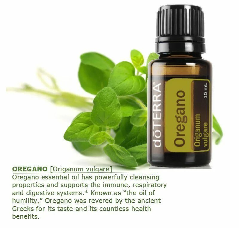 Эфирное масло орегано ДОТЕРРА. Масло орегано DOTERRA. Орегано ДОТЕРРА описание. Орегано эфирное масло DOTERRA свойства.