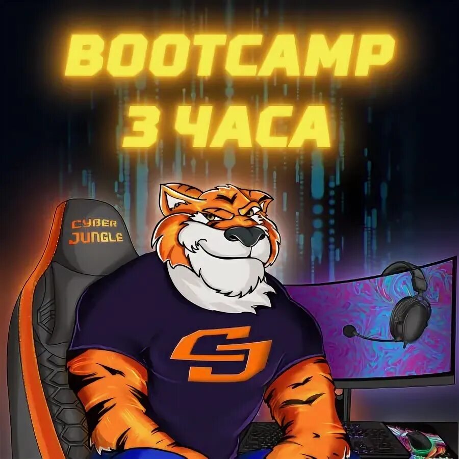 кибер джангл анапа