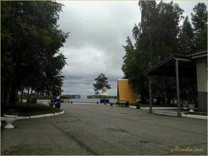Турбаза кедр