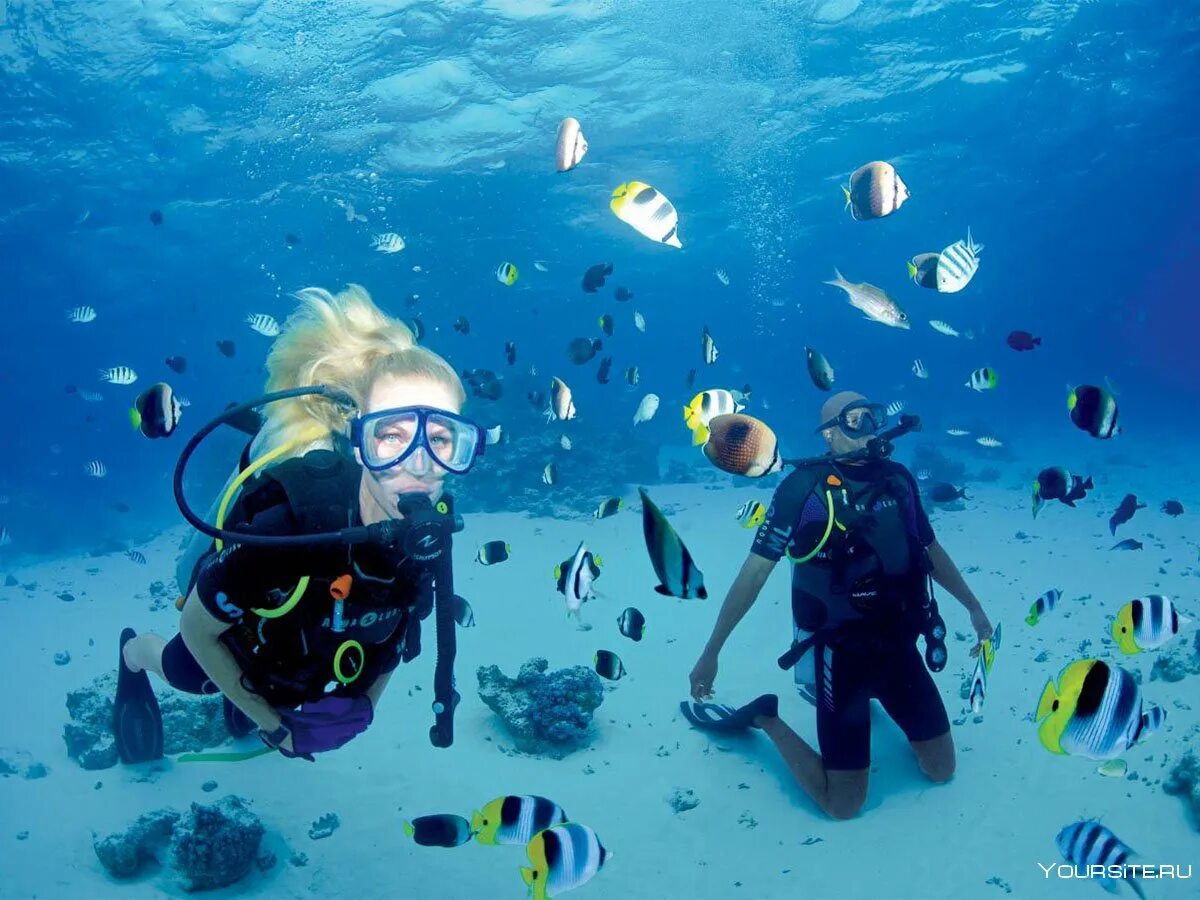 Sea dive. Скуба акваланг. Дайвинг Scuba. Скуба Доминикана. Погружение с аквалангом.