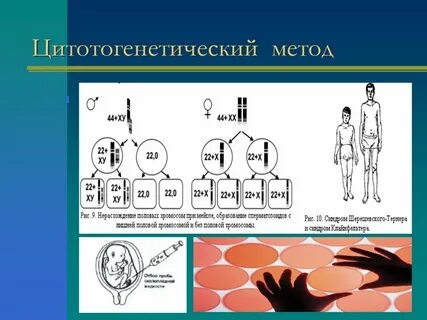 Генетика низших