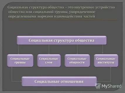 Социальная структура общества во франции