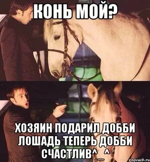 Теперь лошади