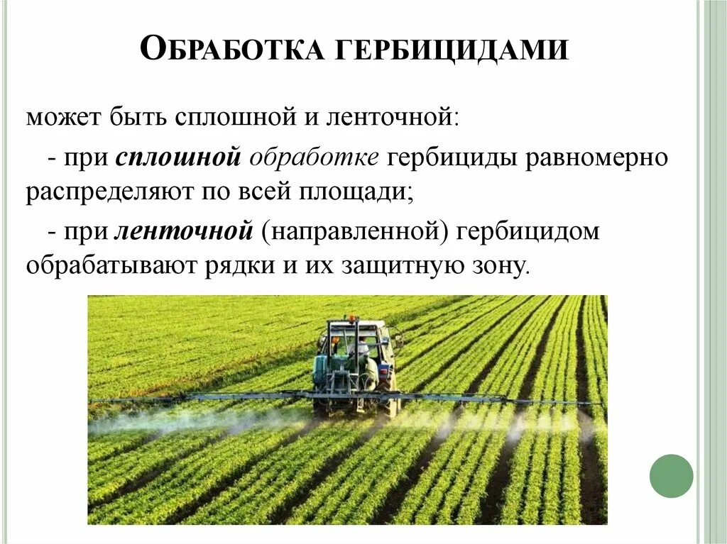 Средства против сорняков на грядках. Обработка гербицидами. Классификация гербицидов. Учет удобрений и гербицидов. Способы применения гербицидов.