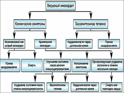 Миокардиты по утвержденным клиническим рекомендациям