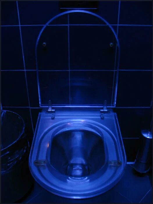 синий унитаз. прозрачный унитаз. унитаз трон herbeau. унитаз эппл. серебряный унитаз.