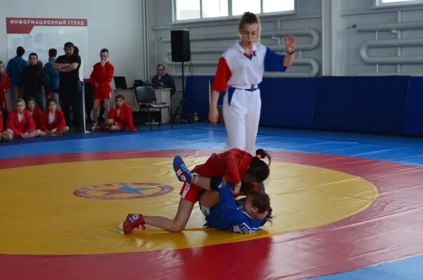 Дворец самбо конгрессная 2. Дворец самбо конгрессная 2. Za самбо. Дворец самбо краснодар 2024. Прикладное самбо.