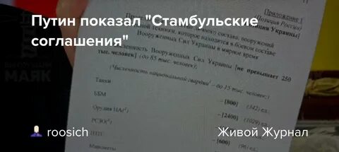 Условия стамбульских соглашений