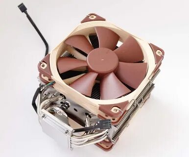 Noctua