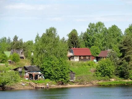 Погода янега
