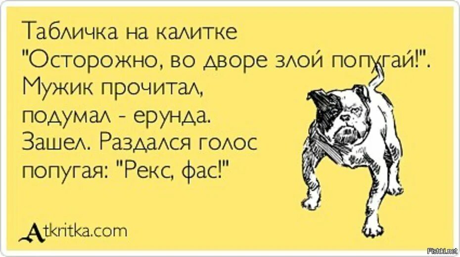 Любите не курящих не пьющих. Анекдоты про собак. Шутки про собак. Смешные фразы про собак. Высказывания про собак прикольные.